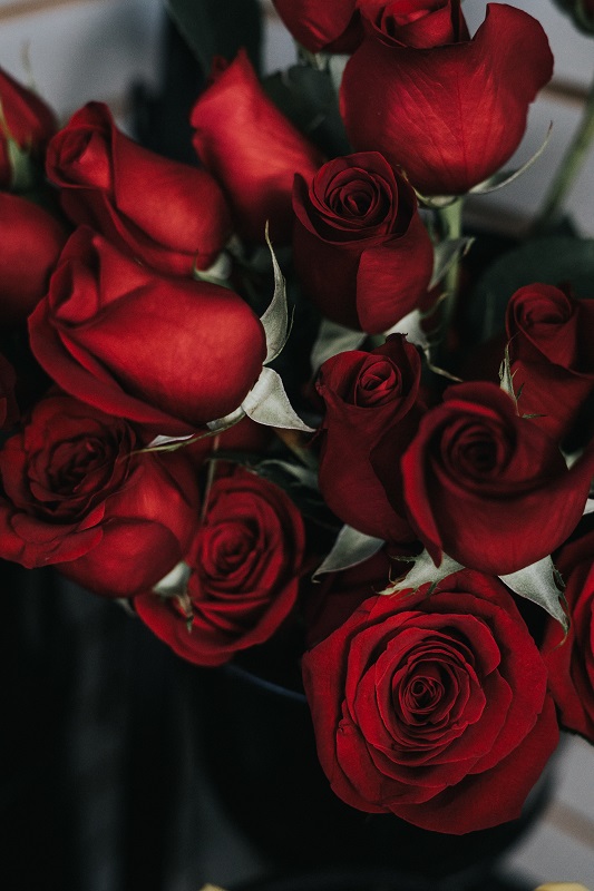 Combatting Your Libido With BHRT